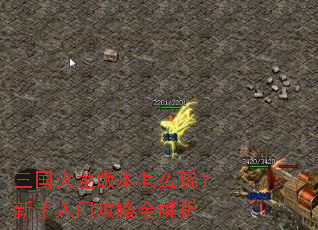 三国火龙版本怎么玩?新手入门攻略全解析 三国火龙版本怎么玩?新手入门攻略全解析