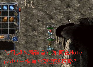 ����ű��༭���������Notepad++�б�д��Ч��Ϸ���ԣ�