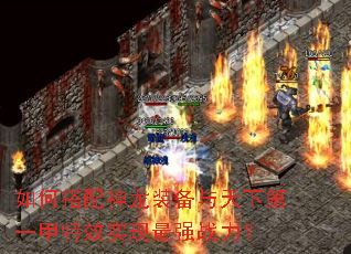 如何搭配神龙装备与天下第一甲特效实现最强战力? 如何搭配神龙装备与天下第一甲特效实现最强战力?