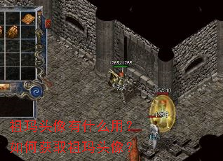 祖玛头像有什么用?如何获取祖玛头像? 祖玛头像有什么用?如何获取祖玛头像?