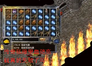 传奇私服里血防高就真的无敌了吗? 传奇私服里血防高就真的无敌了吗?