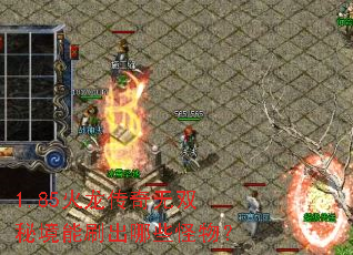 1.85火龙传奇无双秘境能刷出哪些怪物? 1.85火龙传奇无双秘境能刷出哪些怪物?