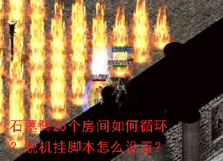 ʯĹ��25���������ѭ�����ѻ��ҽű���ô���ã�