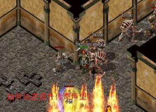 ��ο�����������������