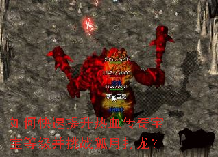 ��ο���������Ѫ���汦���ȼ�����ս���´�����