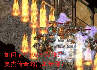 ���ǰ��199�߲���¸��Ŵ���Ĺ���ȣ�