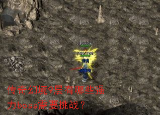 传奇幻境9层有哪些强力boss需要挑战? 传奇幻境9层有哪些强力boss需要挑战?