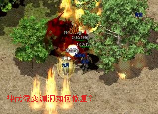 神武微变漏洞如何修复? 神武微变漏洞如何修复?