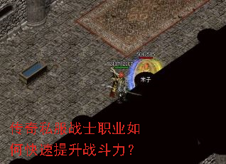 ����˽��սʿְҵ��ο�������ս������