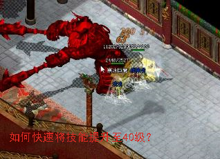 ��ο��ٽ�����������40����