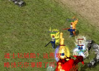 道士玩辅助?这些攻略技巧你掌握了吗? 道士玩辅助?这些攻略技巧你掌握了吗?