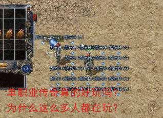 ��ְҵ������ĺ�����Ϊʲô��ô���˶����棿