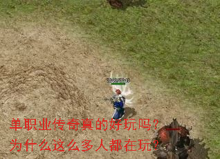 ��ְҵ������ĺ�����Ϊʲô��ô���˶����棿