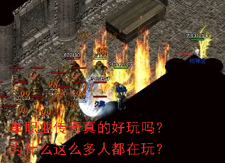 ��ְҵ������ĺ�����Ϊʲô��ô���˶����棿