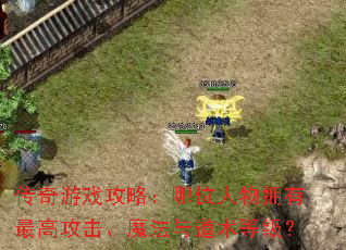 ������Ϸ���ԣ���λ����ӵ����߹�����ħ��������ȼ���