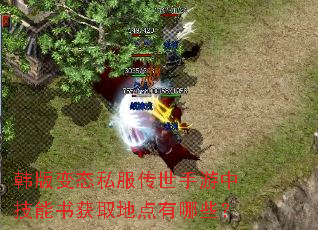 韩版变态私服传世手游中技能书获取地点有哪些? 韩版变态私服传世手游中技能书获取地点有哪些?