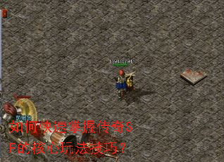 如何快速掌握传奇SF的核心玩法技巧? 如何快速掌握传奇SF的核心玩法技巧?