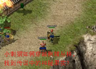 С�����δ�Խ�������֣��ҵ���˵�е����ع�ʵ��