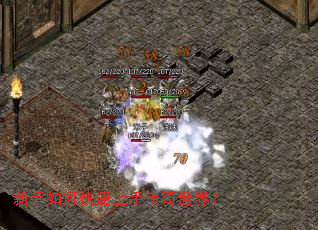 ������ο������ִ������磿