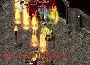 �������������������������