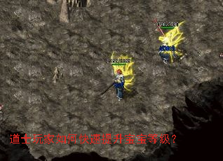 道士玩家如何快速提升宝宝等级? 道士玩家如何快速提升宝宝等级?