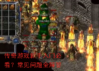 ������Ϸ�������űؿ�����������ȫ���