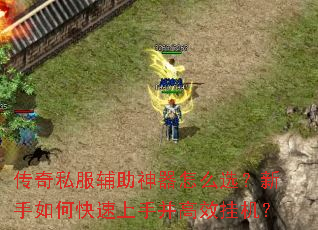 ����˽������������ôѡ��������ο������ֲ���Ч�һ���