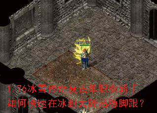 1.76��ѩ���渴�ŵ�ְҵ������ο����ڱ����½վ�ȽŸ���