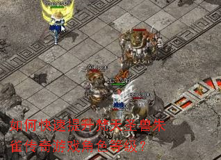 ��ο�����������ʥ����ȸ������Ϸ��ɫ�ȼ���