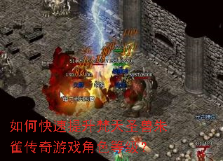 ��ο�����������ʥ����ȸ������Ϸ��ɫ�ȼ���