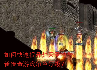 ��ο�����������ʥ����ȸ������Ϸ��ɫ�ȼ���