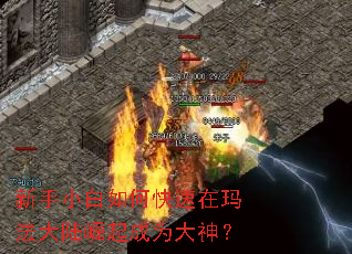 ����С����ο������귨��½�����Ϊ����