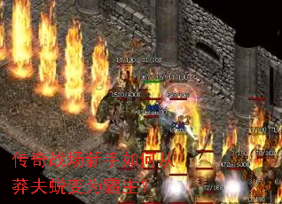 传奇战场新手如何从莽夫蜕变为霸主? 传奇战场新手如何从莽夫蜕变为霸主?