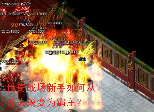 传奇战场新手如何从莽夫蜕变为霸主? 传奇战场新手如何从莽夫蜕变为霸主?