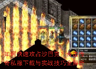 ��ο��ٹ�ռɳ�Ϳˣ��ϻ�����˽��������ʵս����ȫ����