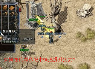 ����ڴ���˽���п�������ʵ����