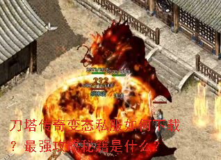 ���������̬˽��������أ���ǿ�����ؼ���ʲô��