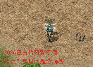 2026���Ŵ���������ô�棿��������ȫ���