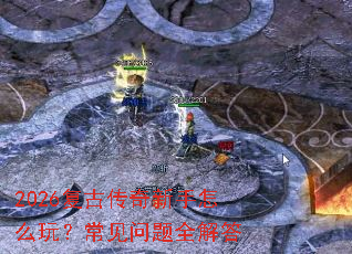 2026���Ŵ���������ô�棿��������ȫ���