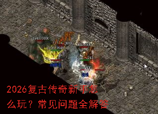 2026���Ŵ���������ô�棿��������ȫ���