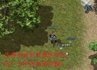 传奇私服外挂真的存在吗?公平性如何保障? 传奇私服外挂真的存在吗?公平性如何保障?