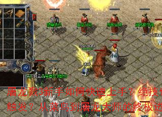 ����¾3������ο������֣�����������ô�������Ӳ���������ʦ���ռ�����ָ��