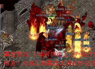 ����¾3������ο������֣�����������ô�������Ӳ���������ʦ���ռ�����ָ��