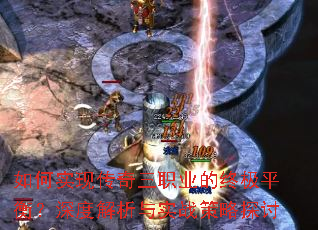 ���ʵ�ִ�����ְҵ���ռ�ƽ�⣿��Ƚ�����ʵս����̽��