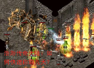 ���촫���½����ο��ٳưԾ��죿