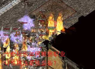 ���������θ���ְҵ������ѡ���װ����