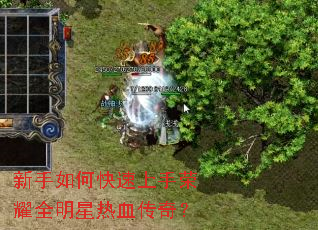 ������ο���������ҫȫ������Ѫ���棿