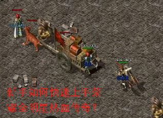 ������ο���������ҫȫ������Ѫ���棿