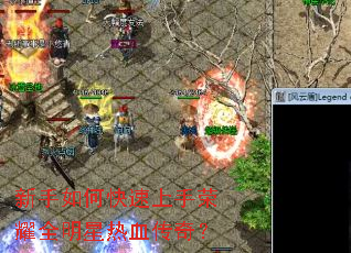 ������ο���������ҫȫ������Ѫ���棿