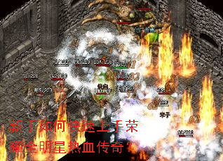 ������ο���������ҫȫ������Ѫ���棿